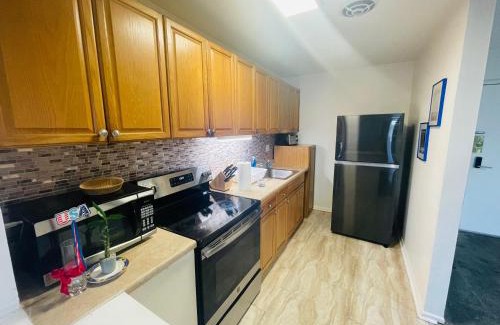 Elkins Park Apartment | Modern 1br In Elkins Park