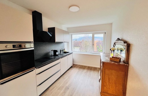 Albbruck Apartment | Modern 2-room apartment on the Swiss border