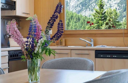 Pontresina Apartment | Modern 2bedrooms apartment with garden and parking