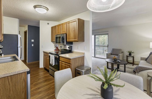 North Oaks Apartment | Modern Apartment in Prime Location (ID1017X869)