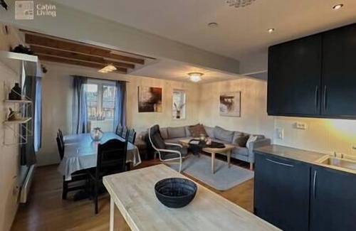 Hovden Apartment | Modern apartment at Hovden with ski in/out x-skiing