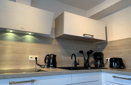 Rudolstadt Apartment | Modern apartment with prime, kitchen & WLAN