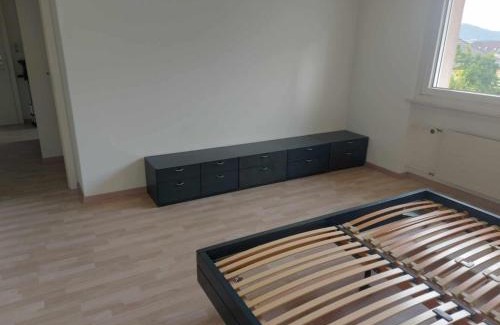 Hirslanden Apartment | Modern Apartment Zurich - Near Lake & Opera House