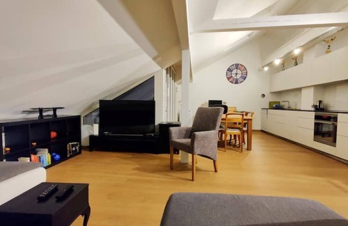 Breitenrain-Lorraine Apartment | Modern attic apartment/modern penthouse in Bern