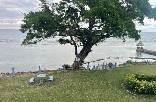 Ocho Rios Apartment | Modern Beachfront Condo with Stunning Sea Views