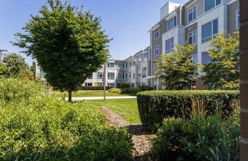 Cambridgeport Apartment | Modern Cambridgeport 1BR w/W/D, near MIT, by Blueground