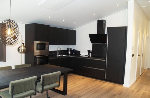 Ruinen Ski Chalet | Modern chalet with dishwasher on a holiday park