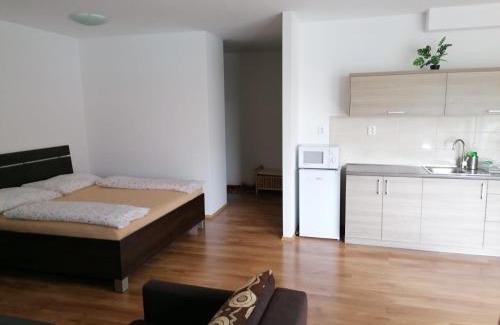 Martin Apartment | Modern city center apartment with private parking