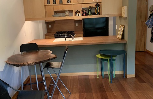 Pearl District Condo | Modern Condo in the Heart of the Pearl District