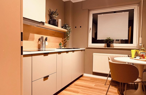 Huenxe Apartment | Modern design apartment in Hünxe in the middle of Hünxe and yet in the countryside