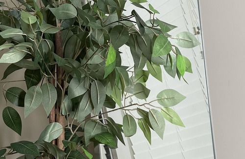 Lakes of Forest Hill Apartment | ✨Modern Stay ✨