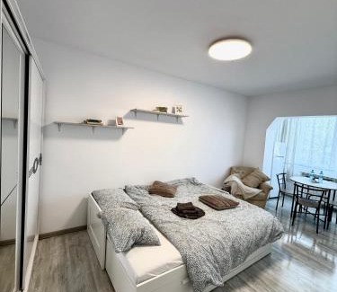 Falticeni Apartment | Modern Studio