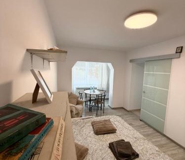 Falticeni Apartment | Modern Studio