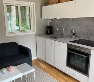Listarum House | Modern stuga med 1 sovrum och 1 sovloft med stor terrass och vedeldad bastu mitt på Österlen