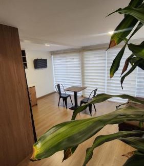 Cuenca Apartment | Modern suite with pool facing the park
