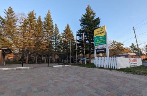 Wasaga Beach House | Modern Tiny Wood Cottage 04