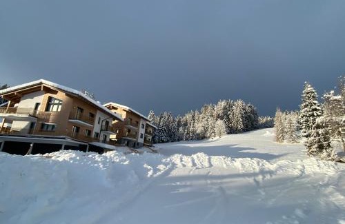Ramsau am Dachstein Apartment | Moderne Kaminstube