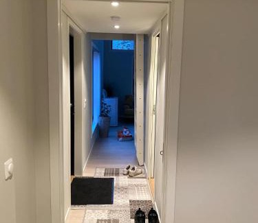 Sula Apartment | Moderne minihus