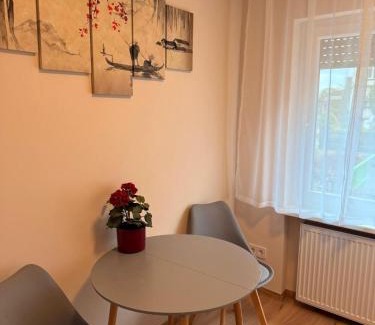 Thiede Apartment | Modernes Apartment 1 mit eigener Küche & Bad - Schuster Homes -