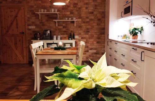 Szczytna Apartment | Modrzewiowe Zacisze