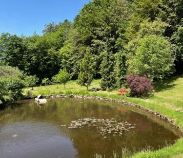 Saint-Nabord Bed & Breakfast | Moho Nat’ure Tiny-house