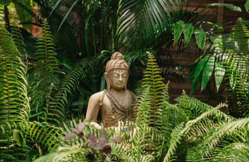 Assagao Bed & Breakfast | Mojigao - Eco Resort