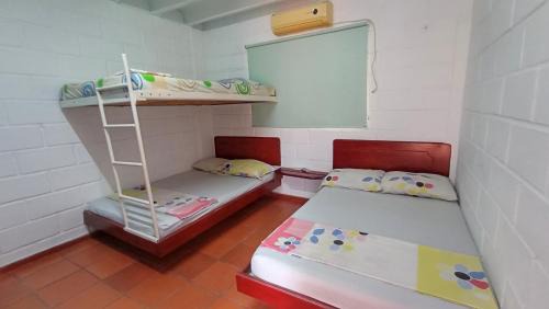 Papare Hotel | Monkey man, Beach House