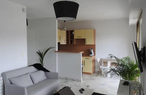 Le Cannet Apartment | Mont Joly YourHostHelper