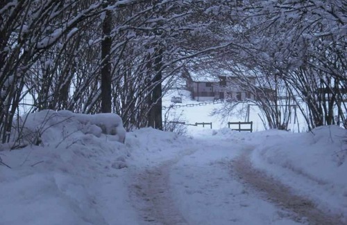 Concei Cottage | Montain hut with 20,000 square meters of land