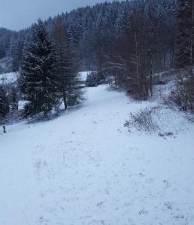 Fehrenbach Apartment | Monteur- und Ferienwohnung Waldrauschen