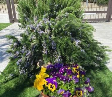 Imola Bed & Breakfast | Montevecchi13