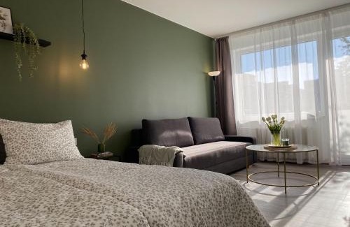 Siauliai Apartment | Moody apartments