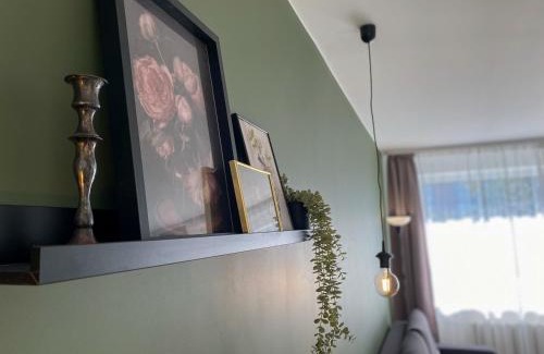 Siauliai Apartment | Moody apartments