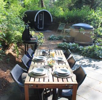 Diever Apartment | Mooi 4p Wellness chalet in het Bos met finse Sauna en Hottub