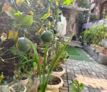 Xihu Hotel | Moonlit Orchid Bay · Coffee & Tea