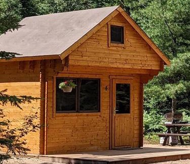 Hastings Highlands Other | Moose Run #4