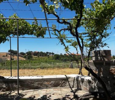 Ayvacik House | Moray pansiyon