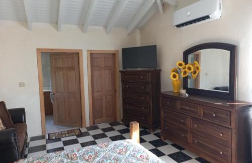 Road Town Apartment | More Than Beauty Properties