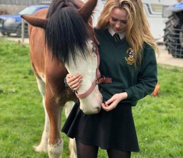 Pickering House | Morgan's Rest