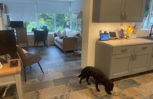 Thornhill House | Morgraig