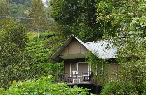 Chithirapuram Villa | Moselberg Riverside Cottages