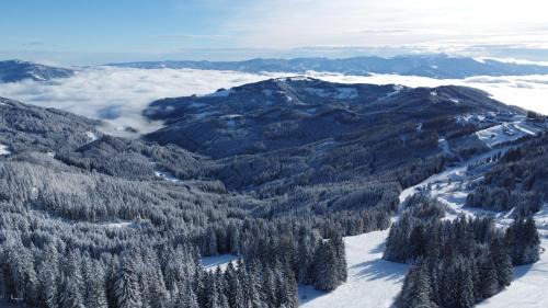 Bad Sankt Leonhard im Lavanttal Ski Chalet | MoselebauerAlm