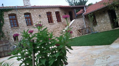 Pogoni Villa | Mossiori Serai