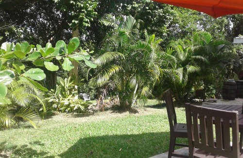 Saint Sylvans Apartment | MostRelaxingNatureRetreat/Super Quiet Space in Natural Tropical Forest