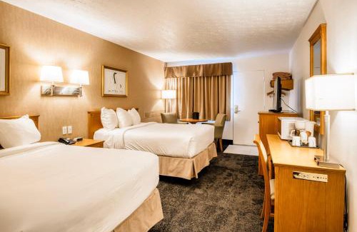 Rouyn-Noranda Hotel | Motel Mistral