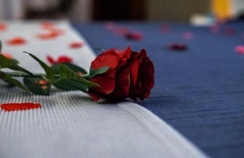 Gulpilhares Hotel | Motel Paraíso do Braseiro