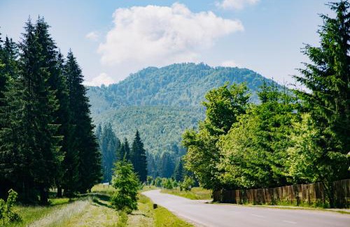 Covasna Other | Motel Valea Zanelor