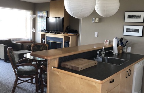 Campbell River Apartment | Motel with two private cottages each with Hot Tub and Gas Fireplace on the ocean