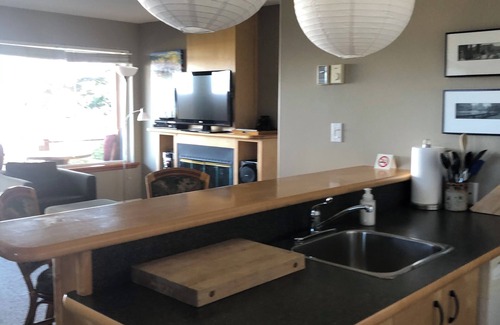 Campbell River Apartment | Motel with two private cottages each with Hot Tub and Gas Fireplace on the ocean
