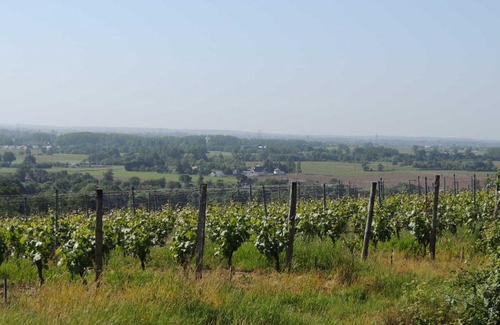 Bellevigne-en-Layon Bed & Breakfast | Moulin de la Placette